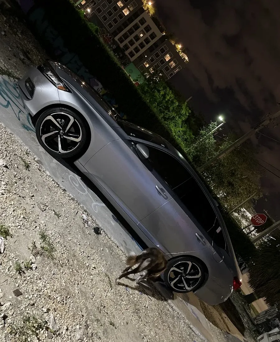 Real photo of silver Honda Accord Sport freshly detailed at night by Nate's the Great